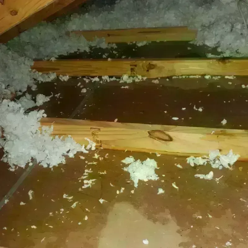 Best Attic Water Damage Service in East Meadow, NY